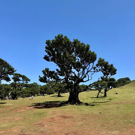 Sunset Paradise With Heated Pool *