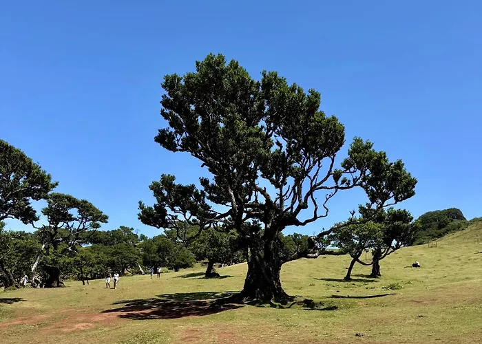 Sunset Paradise With Heated Pool *